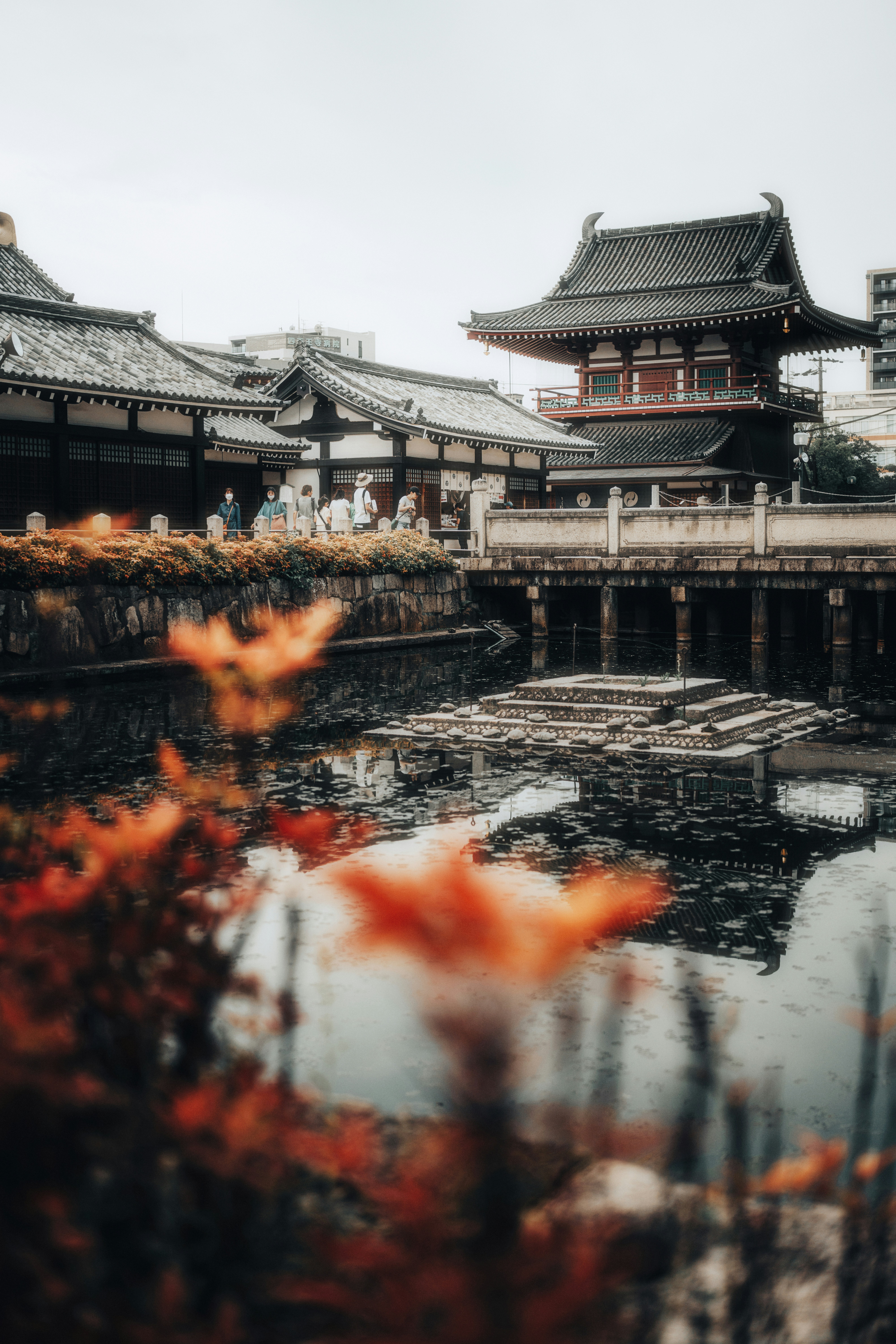 Global education destinations